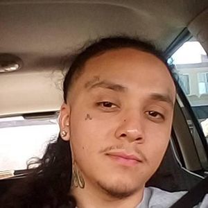 Meet your Posher, Bee